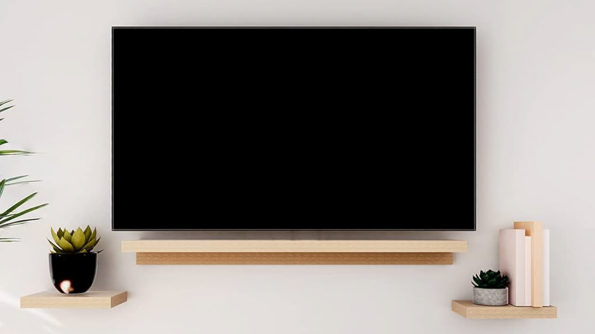 Portfolio tv 1